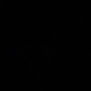 Meet your Posher, Gabby